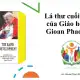 LÁ THƯ CUỐI CÙNG CỦA ĐỨC THÁNH GIÁO HOÀNG GIOAN PHAOLÔ II - TÔNG THƯ SỰ PHÁT TRIỂN NHANH CHÓNG