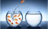 Ba bí quyết giúp bạn giữ được tự do trên mạng xã hội