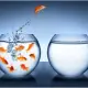 Ba bí quyết giúp bạn giữ được tự do trên mạng xã hội