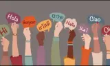 Lý thuyết hiệu ứng bảng chữ cái